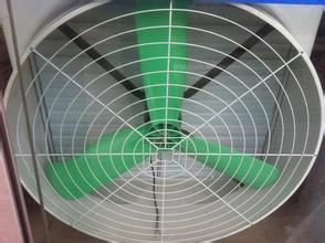 ����ؓ(f��)���L(f��ng)�C(j��)