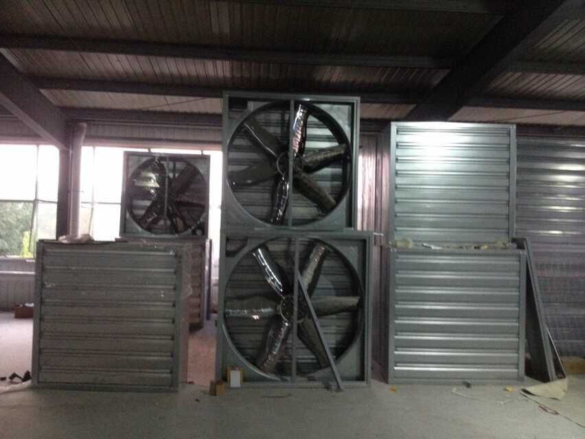 ����ؓ(f��)���L(f��ng)�C(j��)